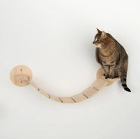 Katzen Hängebrücke