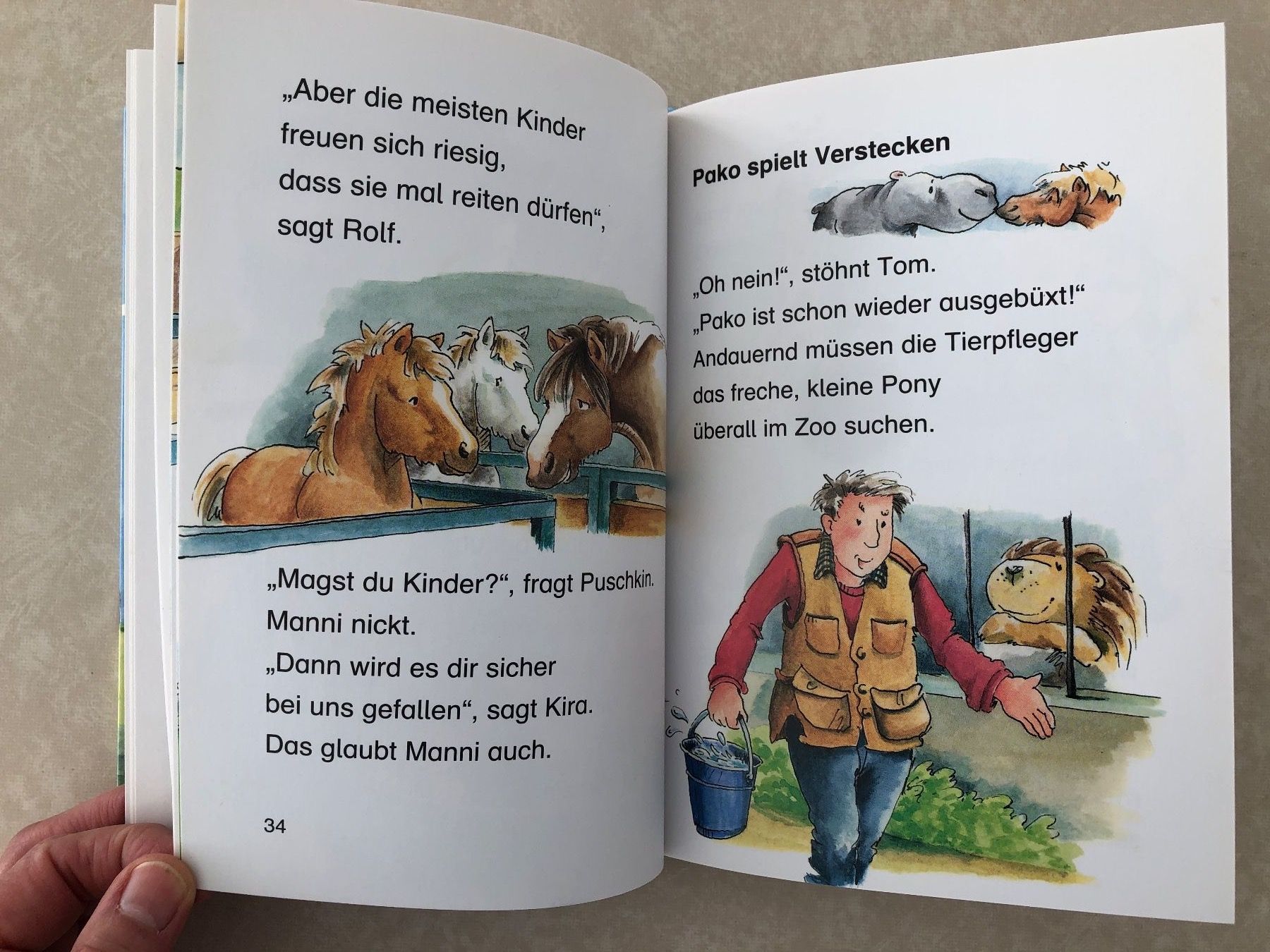 Libri: Kinderbuch "Ponygeschichten" – Nuovo (secondo la descrizione) da Balzers venduto da Kubus 3