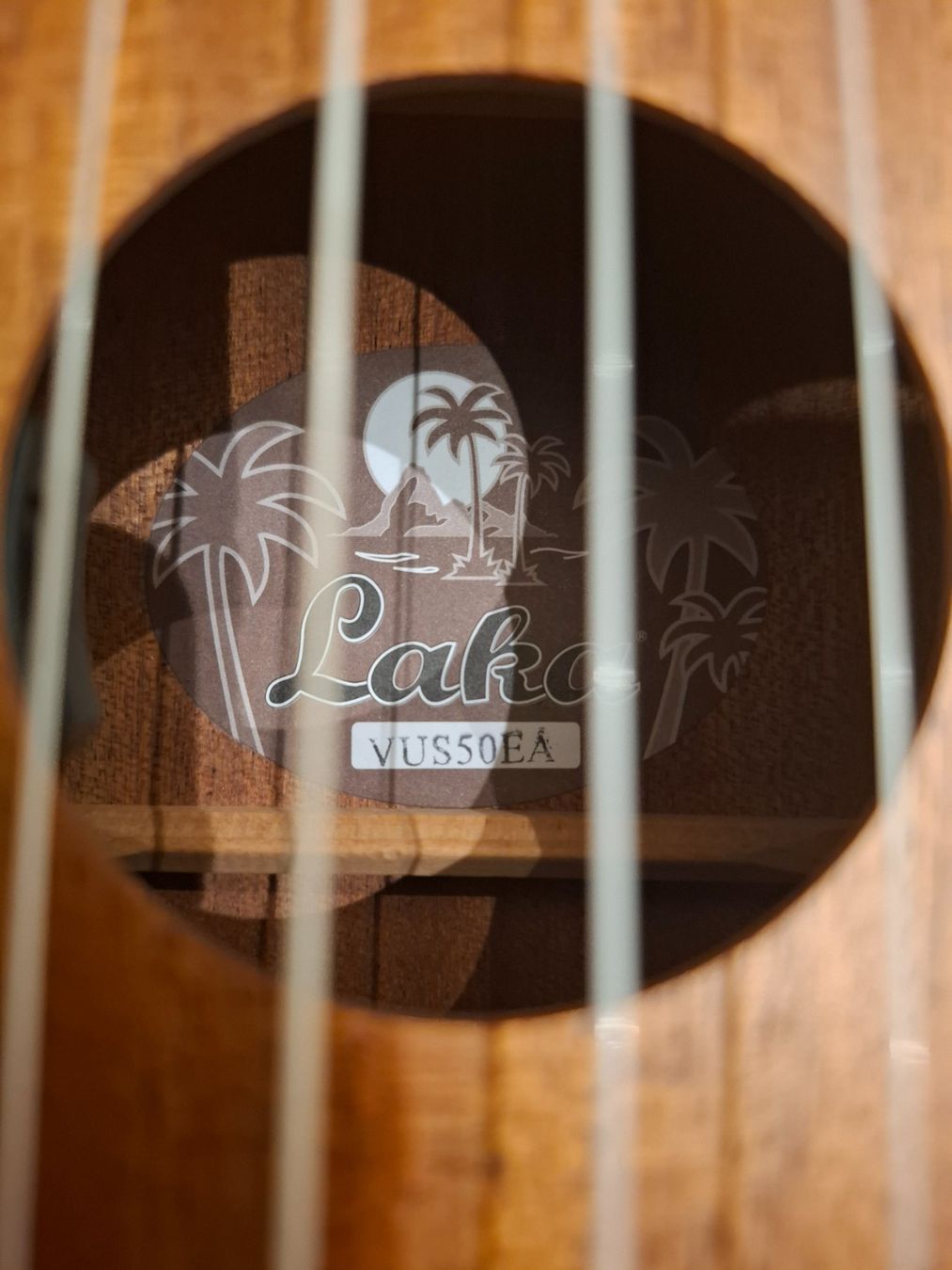Instruments de musique: Ukulele inkl. Tasche – D'occasion à Heiden par sib_8lr2 6