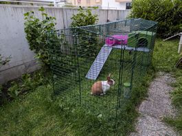 Omlet Zippi Kaninchengehege XL inklusive Zubehör