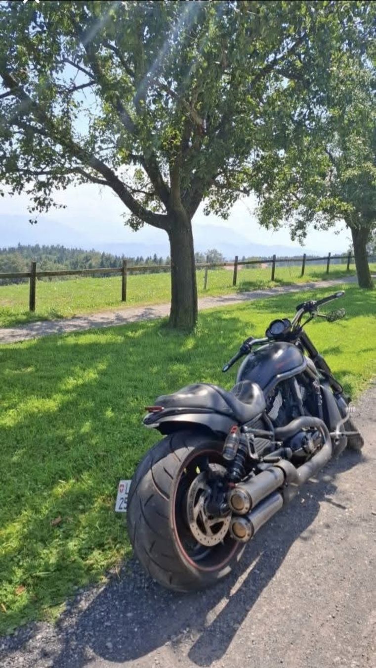 Chopper: Harley-Davidson Night Rod special  – Usato da Sursee venduto da attendro01 4