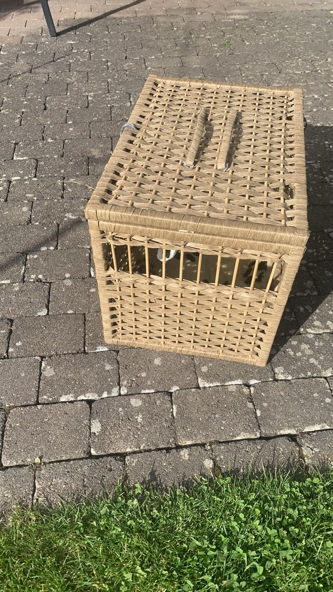 Cucce & Letti: Katzen Transportkorb – Nuovo (secondo la descrizione) da Hindelbank venduto da hirzel02 1
