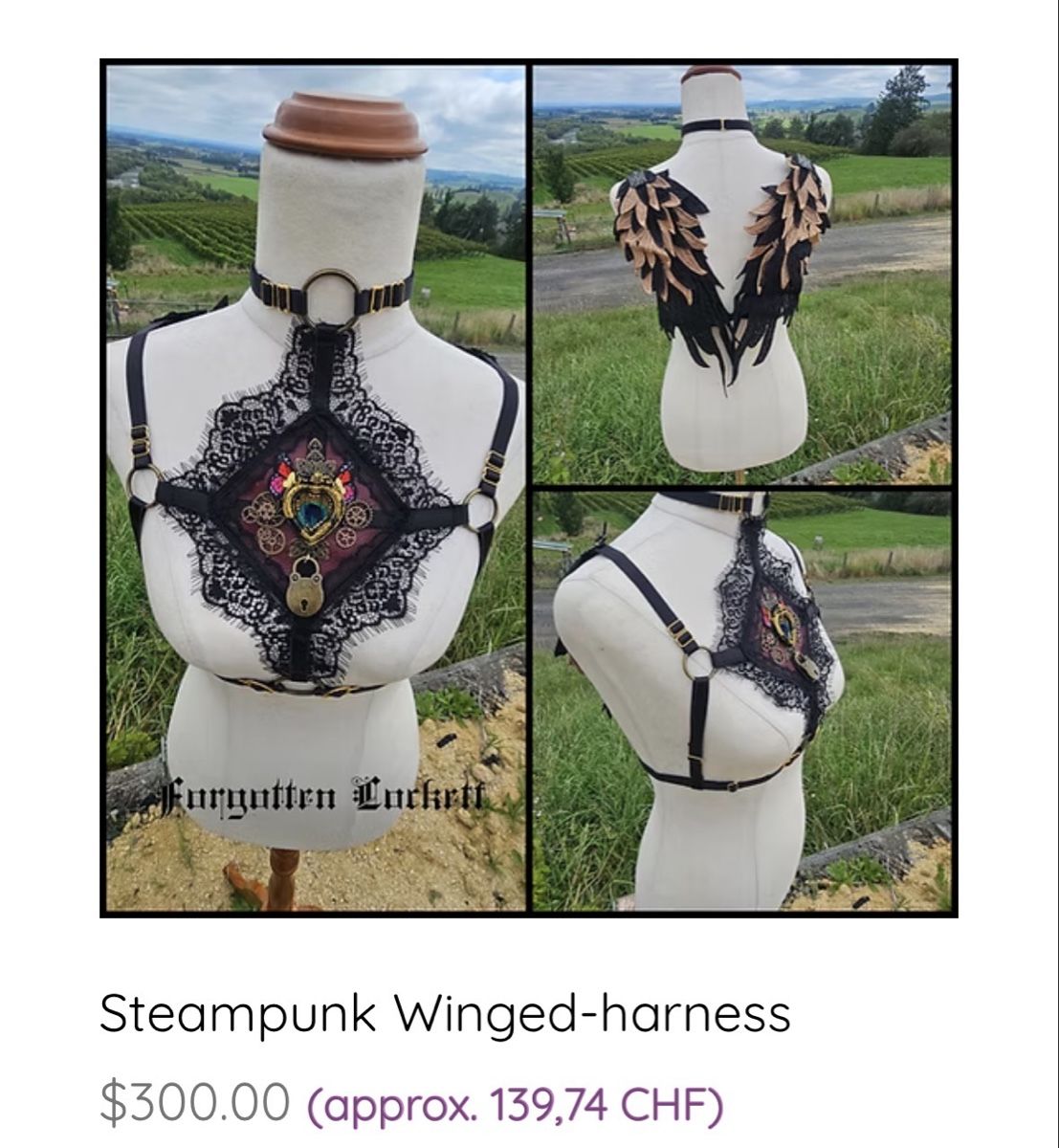 Kostüme: Steampunk Flügel Harness Damen neu – Neu (gemäss Beschreibung) aus Rüti ZH von Mysticphoenix.mel 4