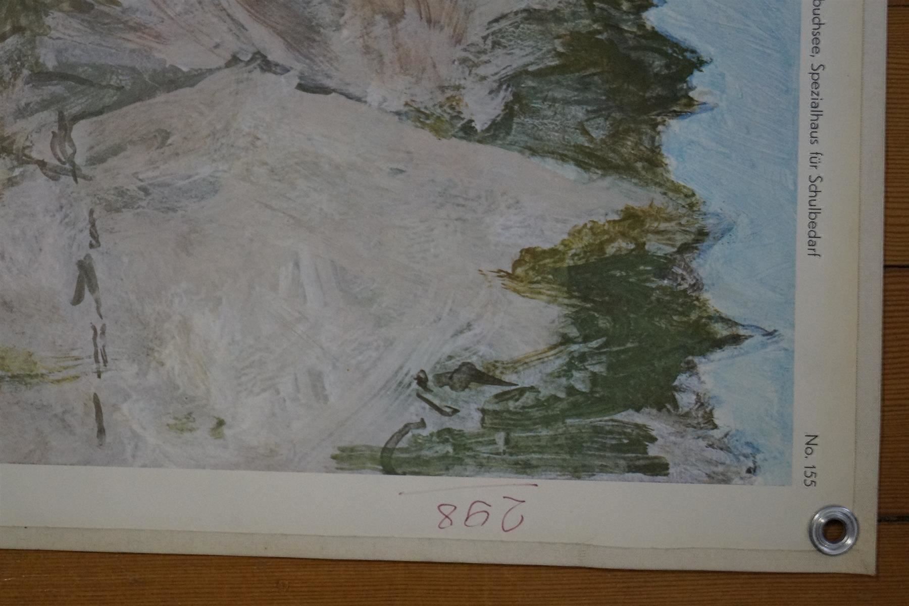 Foto & Immagini: Schulwandbild   Viamala oder Schlucht – Usato da Härkingen venduto da sammelbecken 2