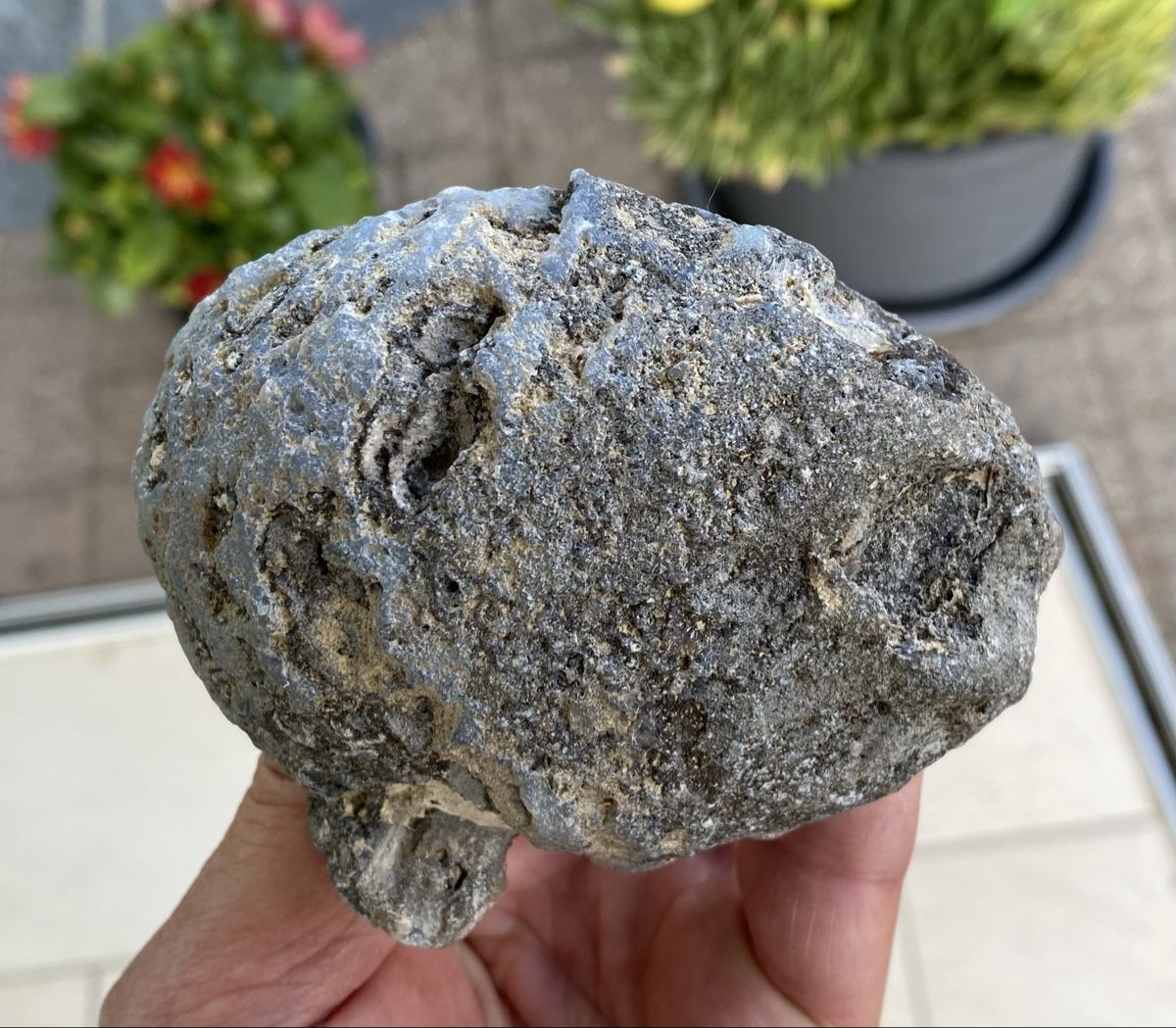 Mineralien & Heilsteine: Sehr schöne Achat Geode  – Gebraucht aus Selzach von 321compac 4