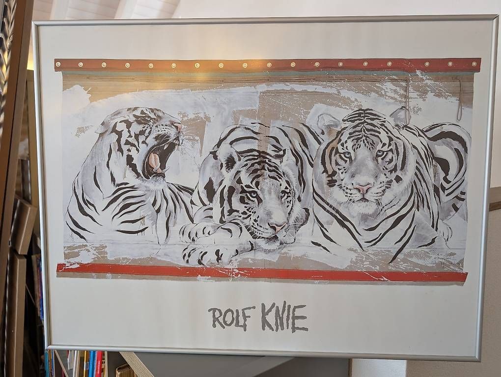Foto & Immagini: "White Tiger" - Bild von Rolf Knie – Usato da Spiez venduto da Hoeli74