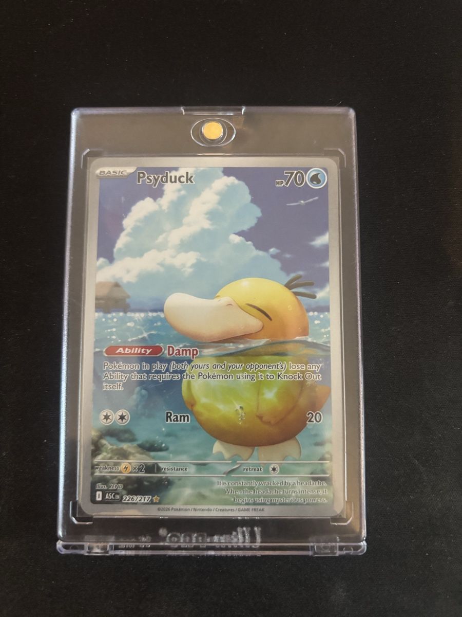 Pokémon Carte collezionabili: Psyduck Englisch - inkl. Case – Nuovo (secondo la descrizione) da Walenstadt venduto da lym_zv99