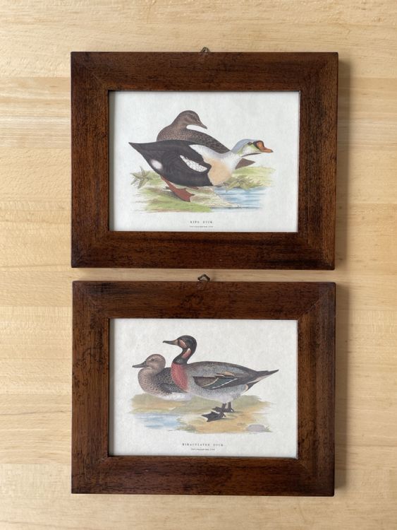 Paire De Cadres Artisanaux Philippins Vintage - Oiseaux, Fleurs, Coquillage