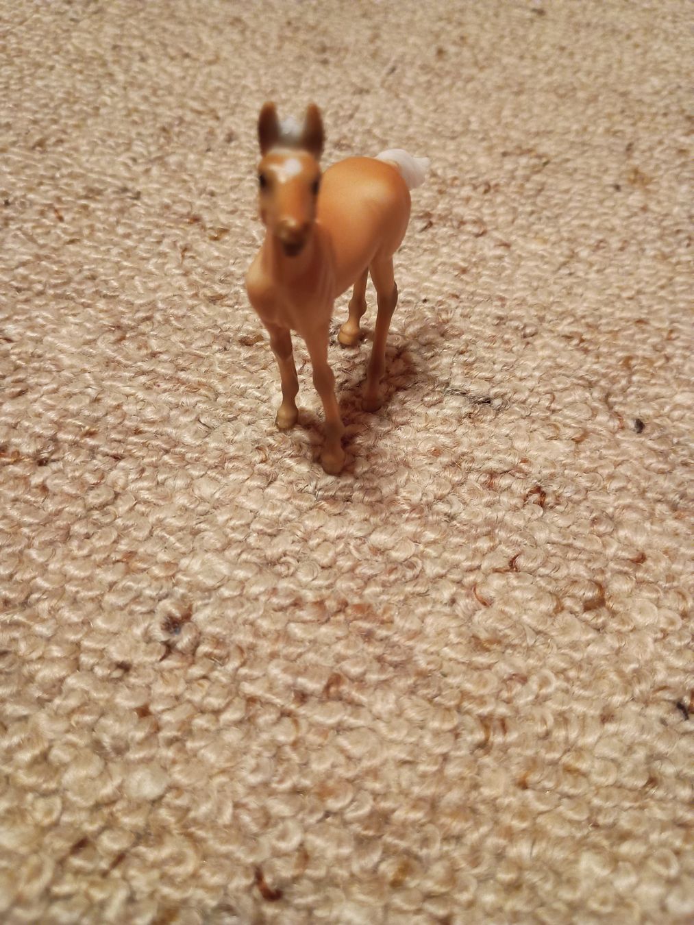 Statuette: BREYER Stablemates Fohlen, ca. 5 cm – Nuovo (secondo la descrizione) da Buchs AG venduto da ReaNaTsch 2