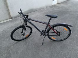 Mountainbike 17“
