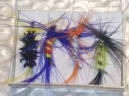 16x Trockenfliegen Killer / mouche seche / mosche secche