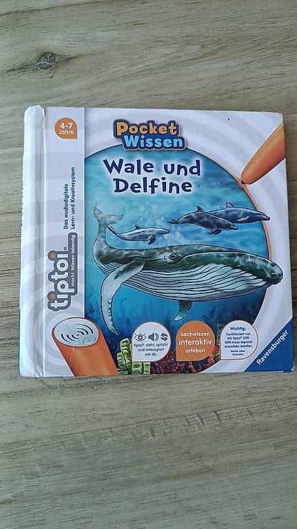 Libri: Tiptoi Pocket Wale und Delfine – Usato da Buttisholz venduto da Baendlifahrer