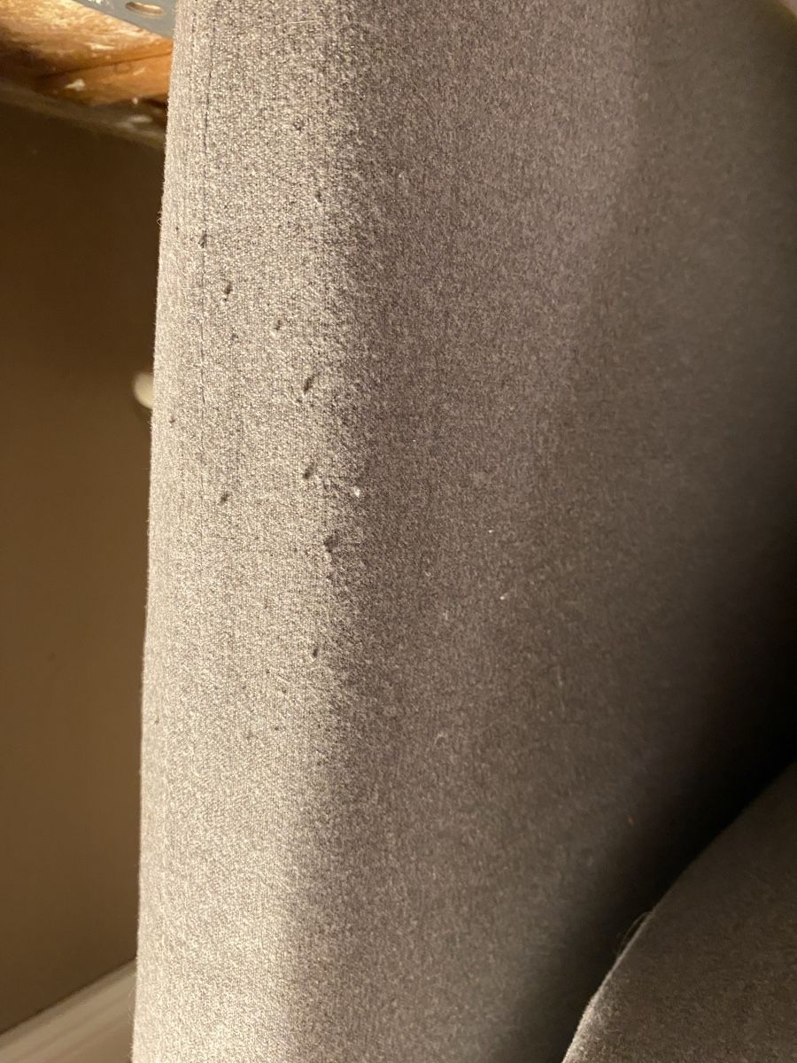 Ikea Divani: IKEA 2 Récamiere Söderhamn – Usato da Muri b. Bern venduto da cat_7z66 1