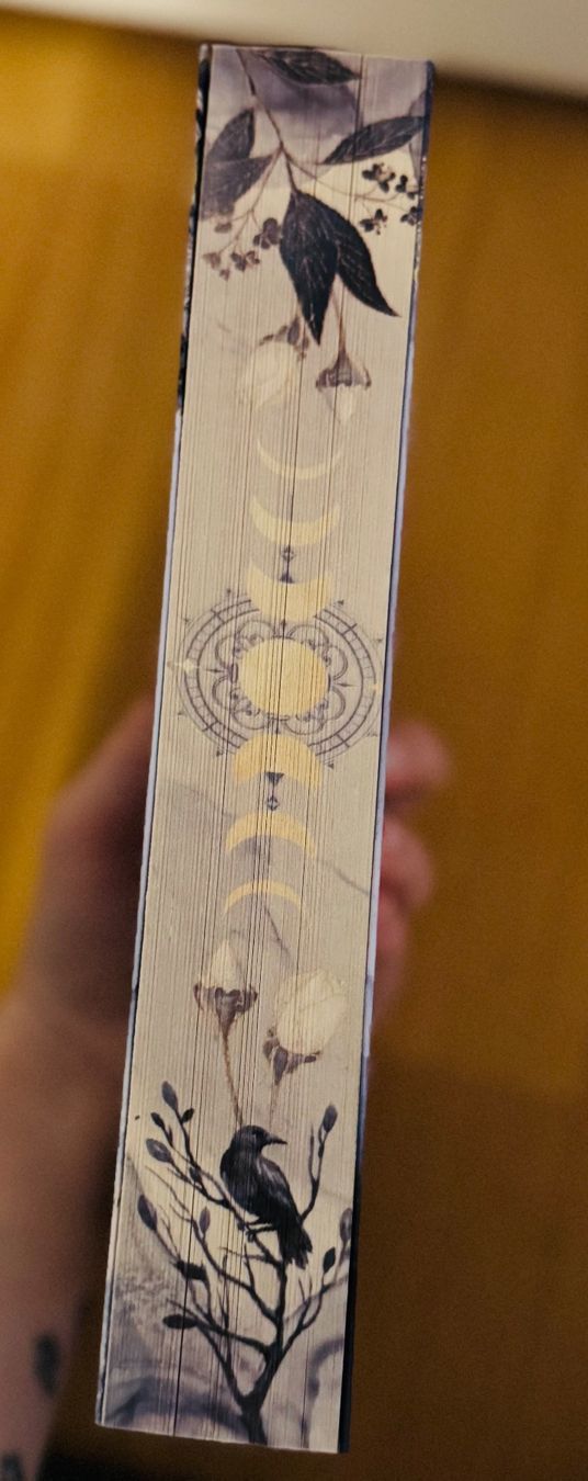 Libri: Ravenhall Academy- Julia Kuhn – Usato da Bettwil venduto da bellis_perennis_222 4
