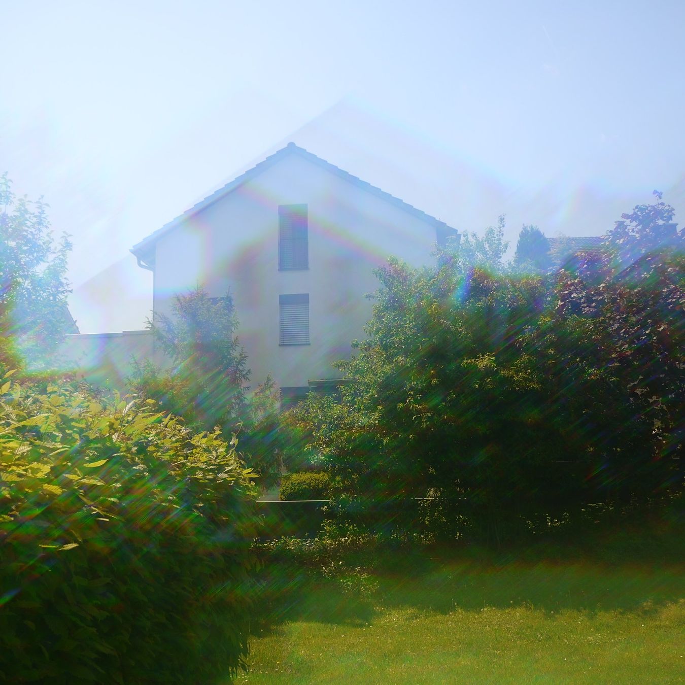 Filtri: B+W 55MM SPECTRAL Filter / Filtre. Germany. – Usato da Egg b. Zürich venduto da JCB 1