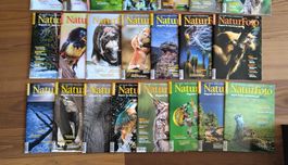 Naturfoto Magazine