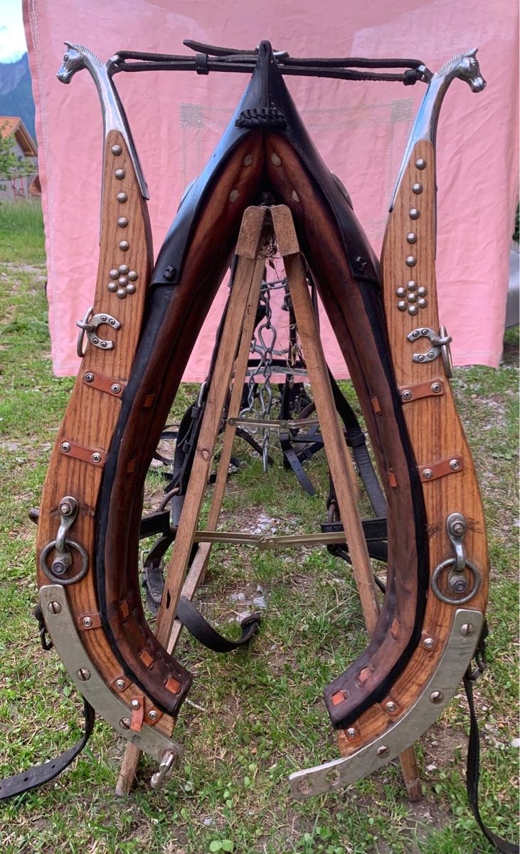 Kutschen: Collier cheval – Gebraucht aus Albeuve von pan_bbw9