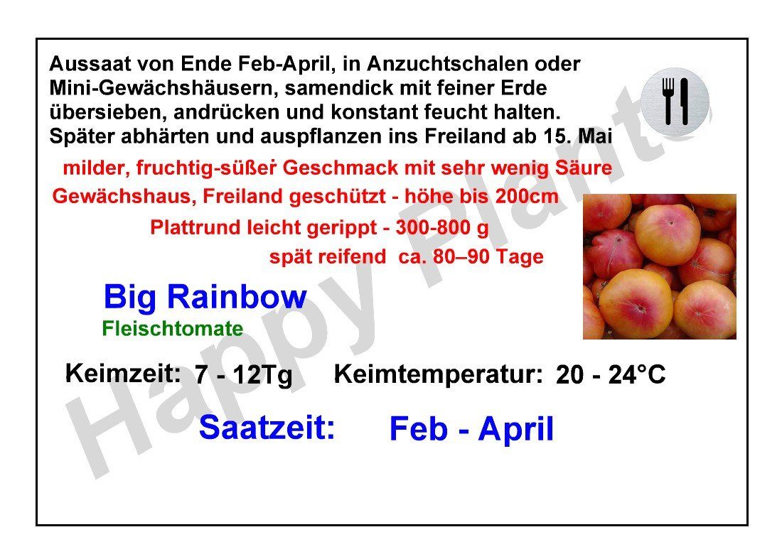 Piante & sementi: Big Rainbow - Fleischtomate - 20 Samen – Nuovo e nell'imballaggio originale da Sumiswald venduto da Cham14559 2