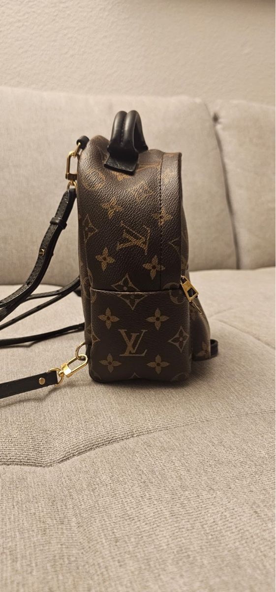 Louis Vuitton Rucksäcke: Louis Vuitton Palm Springs Mini Rucksack – Gebraucht aus Wallisellen von maksim8880 2