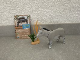 Playmobil 71289, afrikanischer Esel