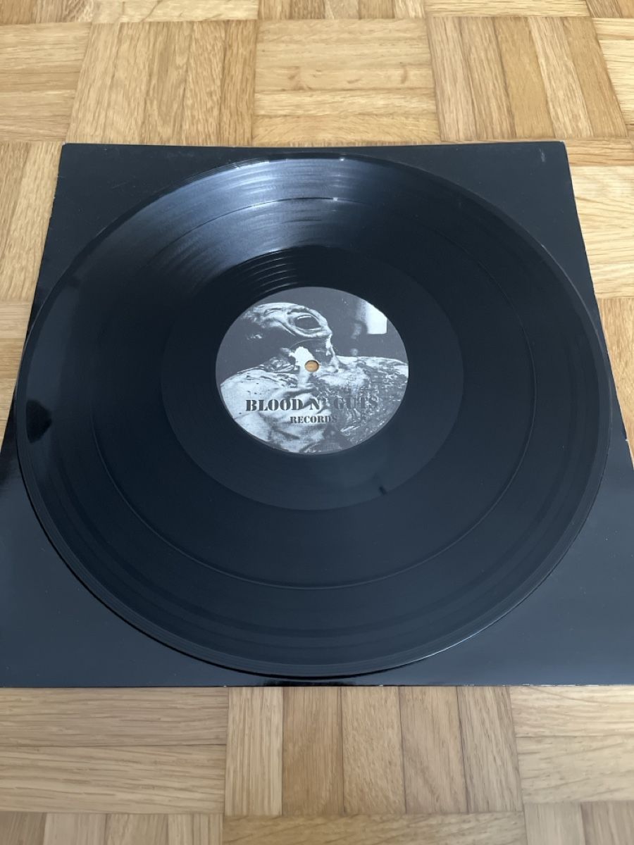 Dischi in vinile: Cannibal DJ Speedcore Vinyl – Usato da Wangen b. Olten venduto da break72 3