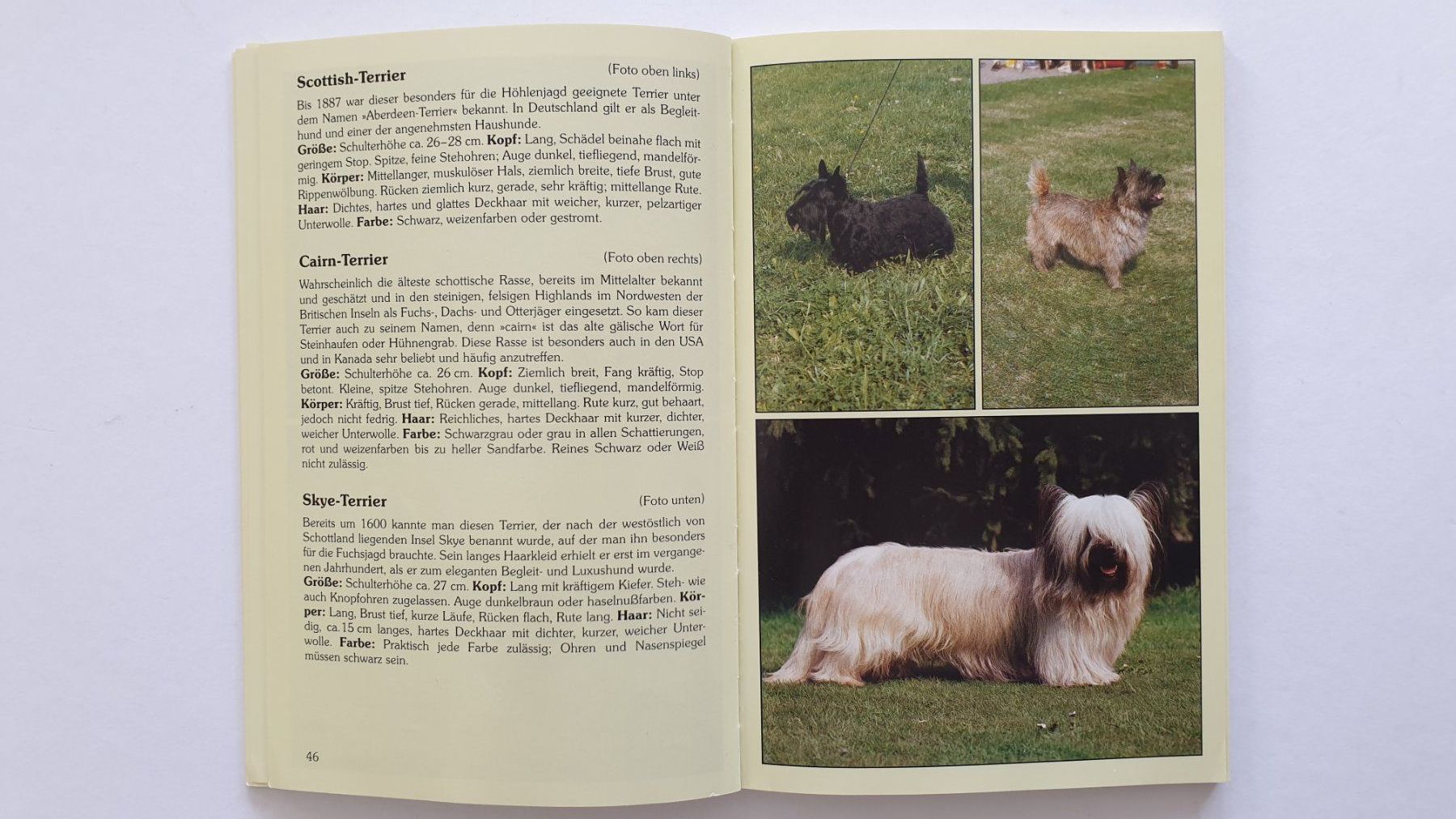 Libri: Hundebücher – Usato da Goldach venduto da armando_r 7