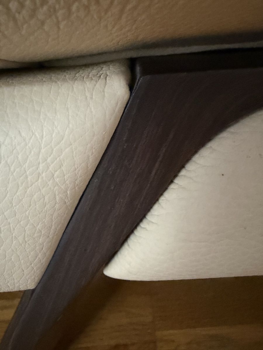 Roche Bobois Divani: Roche Bobois – Usato da Pully venduto da Kalissa 2