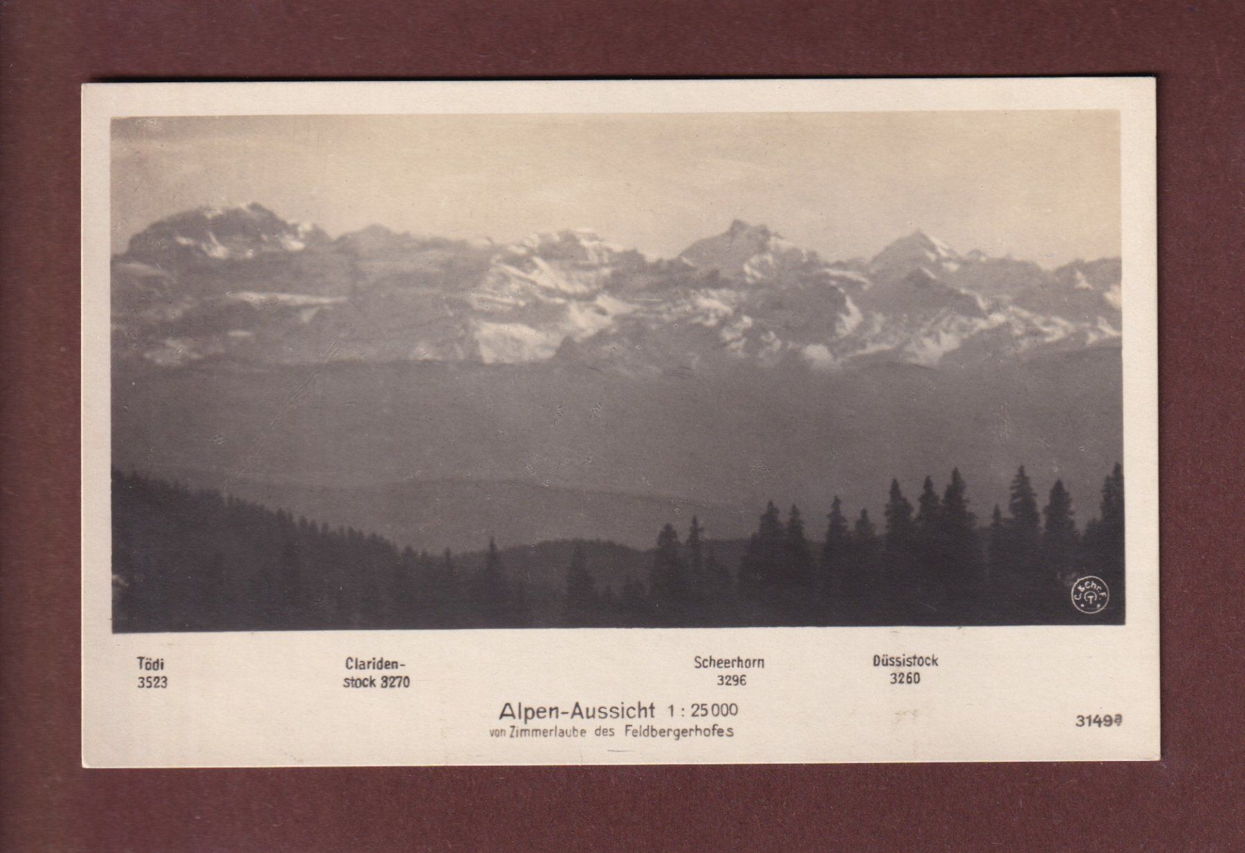 Cartoline postali: ALPEN-AUSSICHT - Tödi - Scheerhorn – Usato da Pully venduto da nicecards-shop