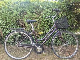 Dahmenfahrrad 28 Zoll mit Drehgriffschaltung + Korb