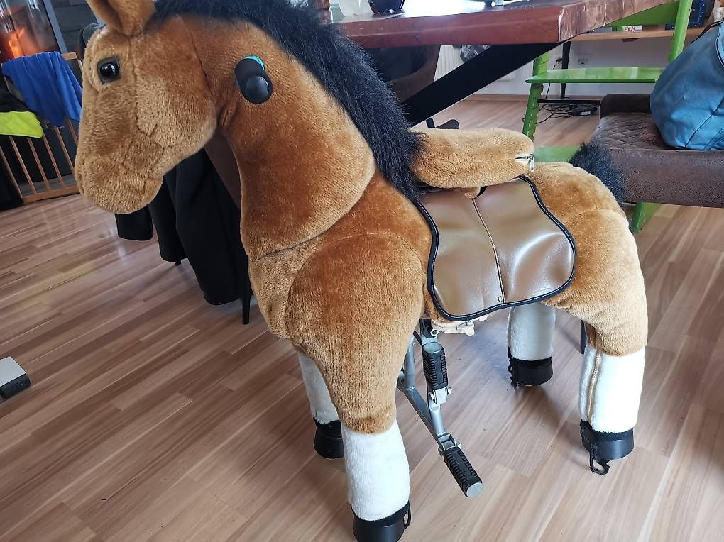 Veicoli per bambini:  PonyCycle Reitpferd – Usato da Leuzigen venduto da Loop_t