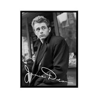 James Dean Blechschild 20x30