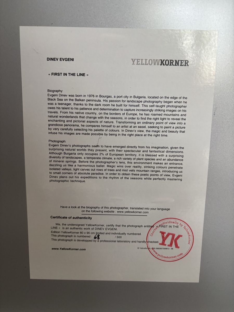 Foto & Immagini: Tableau Yellowkorner numeroté 68/500 – Nuovo (secondo la descrizione) da Perly venduto da che_mcr6 3