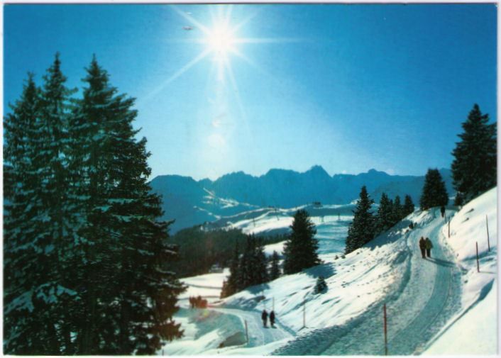 Cartoline postali: Arosa - Arlenwaldstrasse – Usato da Binningen venduto da Mountainrider