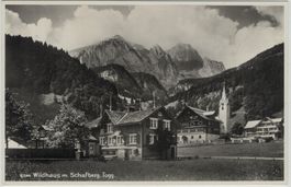 SG 167 WILDHAUS mit Schafberg Feldpost
