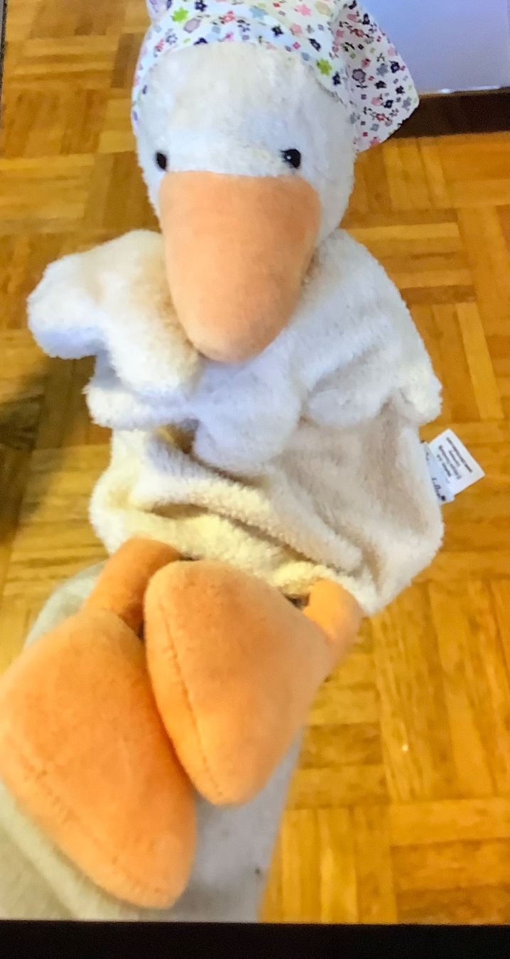 Giocattoli: Handpuppe Gans in schönem Schmuckkästchen – Usato da Diessenhofen venduto da vola123 1