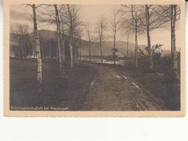 Rapperswil 1916 mit Vignette Tuberkulose