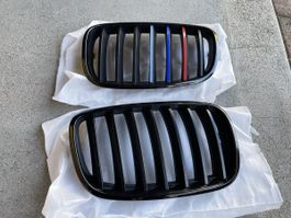 Original Nieren Grill Bmw X5 F15