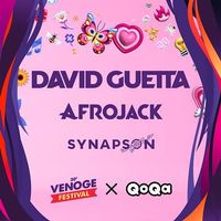 1x billet - David Guetta, Venoge festival 11.08.26