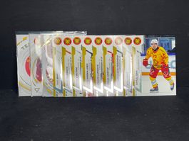 Komplettes SCL Tigers Base-set Serie 2 2024/25