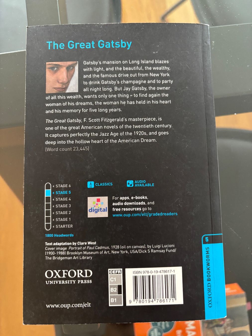 Libri: Buch the great Gatsby – Usato da Winterthur venduto da D_Zel97 1