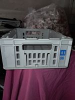 XHAY Colour Crate M 30 x 40 x 14,5 cm