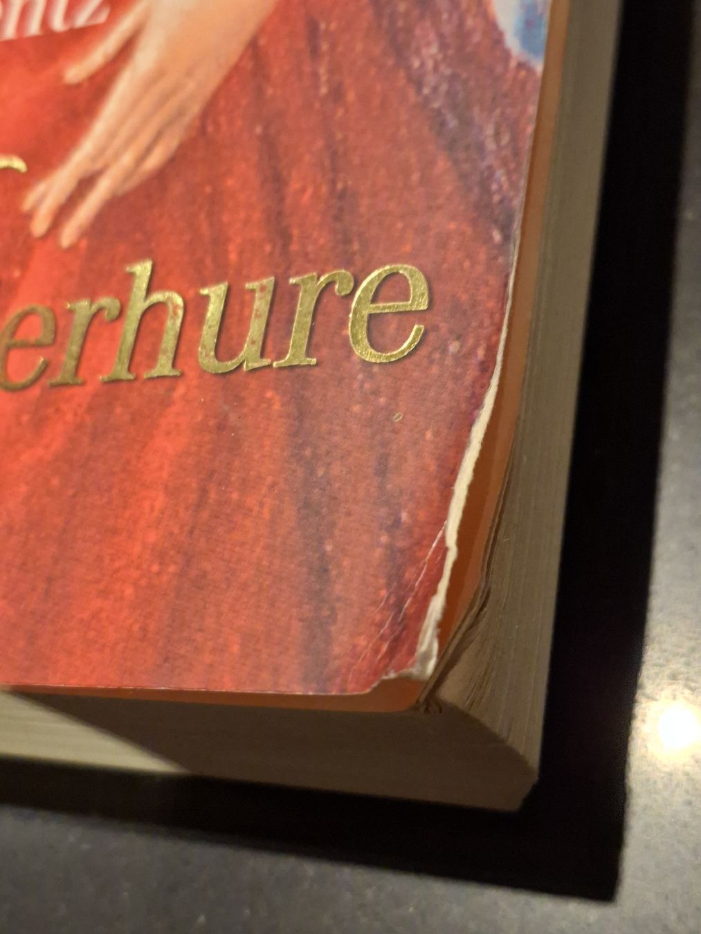 Libri: Iny Lorenz, Die Wanderhure,Taschenbuch – Usato da Grindelwald venduto da carro5 2