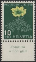 10 Rp. Schwefel-Anemone mit TAB (Pulsatilla a fiori gialli)