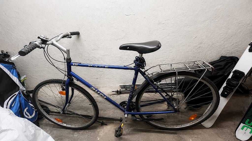 Puch Biciclette: PUCH Pace Trekking-/Citybike – Usato da Erlenbach ZH venduto da mbi_2zp6