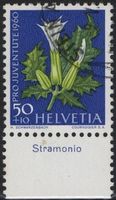 50 Rp. Stechapfel mit TAB (Stramonio)