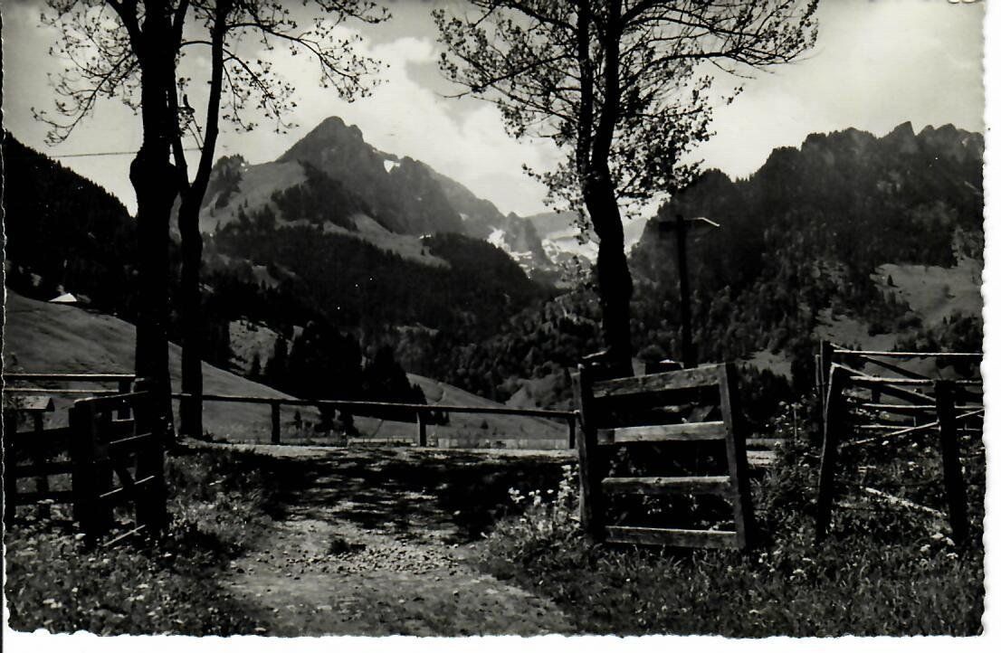 Cartoline postali: am Schwarzsee – Usato da Hochdorf venduto da Ziegel-16