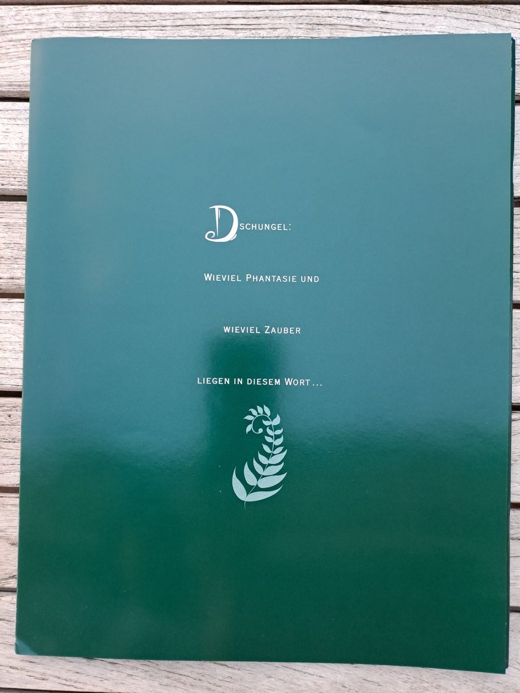 Tutti i VHS: Das Dschungelbuch – Usato da Niederbipp venduto da Brocki-Bude4704 5