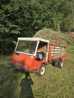 Landw. Motorkarren BUCHER TR 1500-1