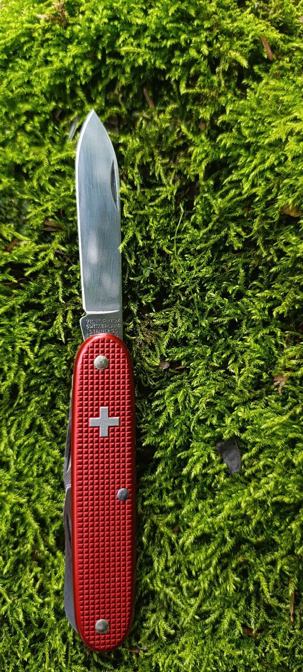 Victorinox Coltelli tascabile: Victorinox Taschenmesser  – Usato da Oppligen venduto da can_rf8g 2