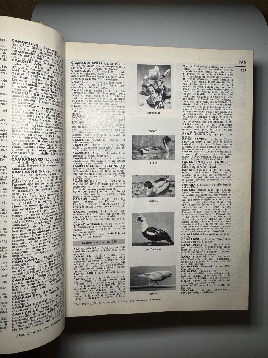 Libri: Petit larousse dictionnaire ancien  – Usato da Renens VD venduto da Dan.1020 3